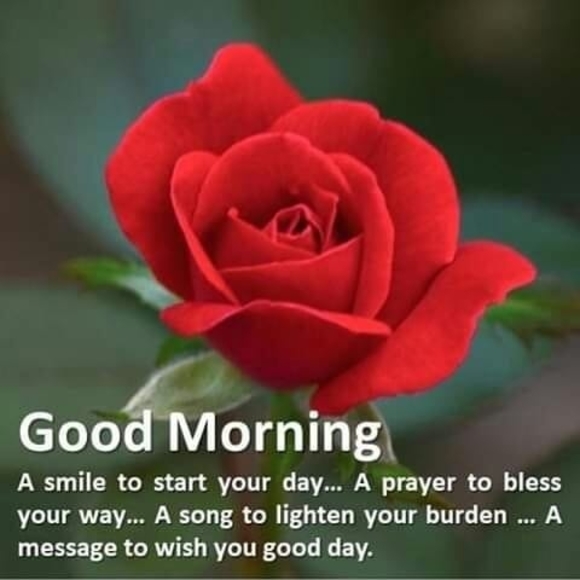 Meet your Posher, Donna - Picture 1 of 1